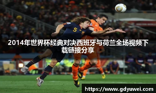 2014年世界杯经典对决西班牙与荷兰全场视频下载链接分享